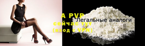 индика Дмитровск