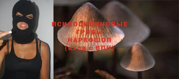 МДМА Ельня
