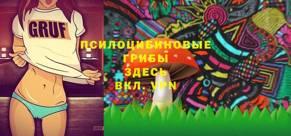 ешки Корсаков