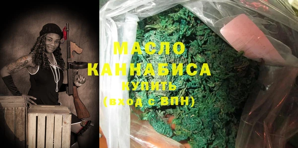 индика Дмитровск