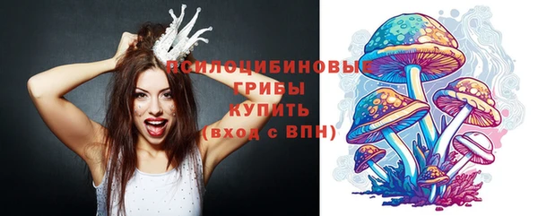 а пвп мука Костерёво
