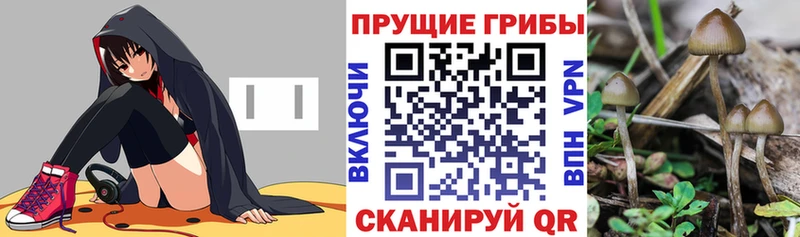 Галлюциногенные грибы прущие грибы  купить  цена  Вельск 